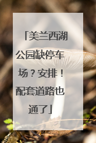 美兰西湖公园缺停车场？安排！配套道路也通了