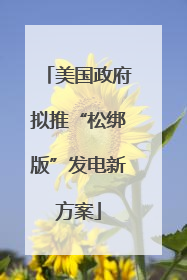 美国政府拟推“松绑版”发电新方案