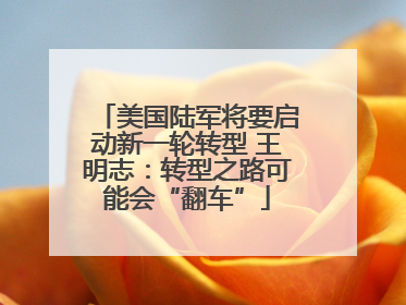 美国陆军将要启动新一轮转型 王明志：转型之路可能会“翻车”