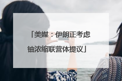 美媒：伊朗正考虑铀浓缩联营体提议