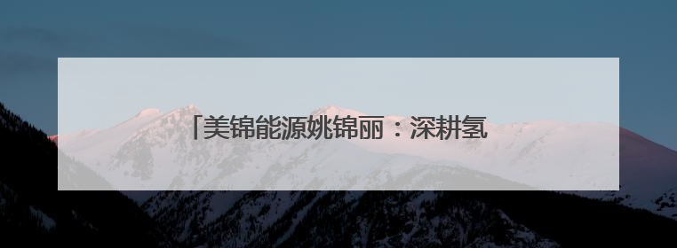 美锦能源姚锦丽：深耕氢能蓝海，领航绿色未来