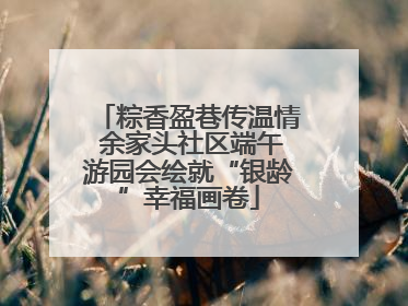 粽香盈巷传温情 余家头社区端午游园会绘就“银龄”幸福画卷