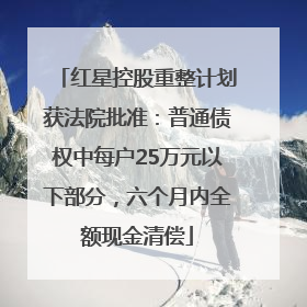 红星控股重整计划获法院批准：普通债权中每户25万元以下部分，六个月内全额现金清偿