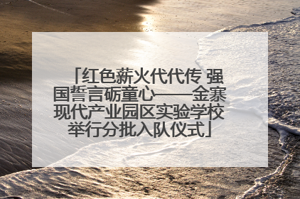 红色薪火代代传 强国誓言砺童心——金寨现代产业园区实验学校举行分批入队仪式