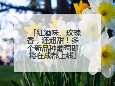 红酒味、玫瑰香，还超甜！多个新品种葡萄即将在成都上线