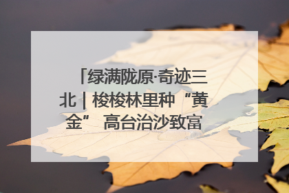 绿满陇原·奇迹三北｜梭梭林里种“黄金” 高台治沙致富很“从容”
