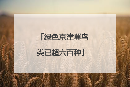 绿色京津冀鸟类已超六百种
