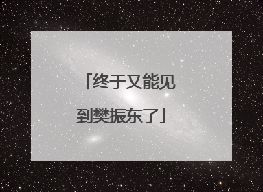 终于又能见到樊振东了