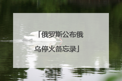俄罗斯公布俄乌停火备忘录