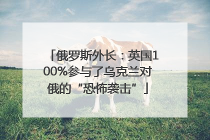 俄罗斯外长：英国100%参与了乌克兰对俄的“恐怖袭击”