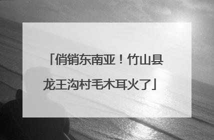 俏销东南亚！竹山县龙王沟村毛木耳火了