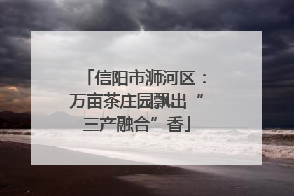 信阳市浉河区：万亩茶庄园飘出“三产融合”香