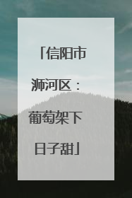 信阳市浉河区：葡萄架下日子甜
