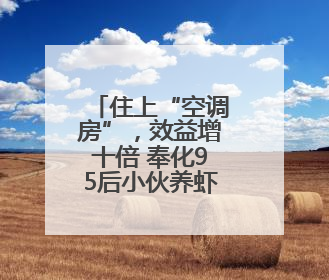 住上“空调房”，效益增十倍 奉化95后小伙养虾有一套