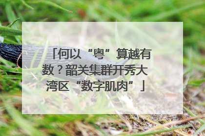 何以“粤”算越有数？韶关集群开秀大湾区“数字肌肉”