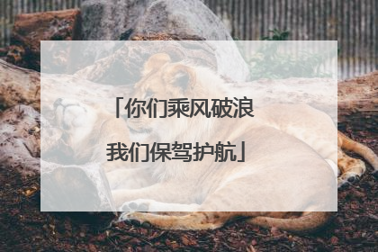 你们乘风破浪 我们保驾护航