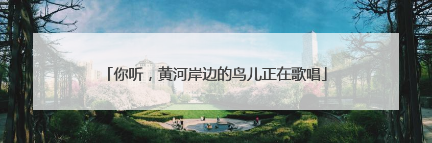 你听，黄河岸边的鸟儿正在歌唱