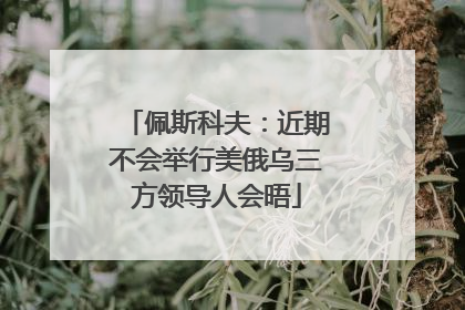 佩斯科夫：近期不会举行美俄乌三方领导人会晤
