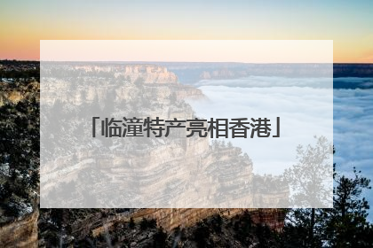 临潼特产亮相香港