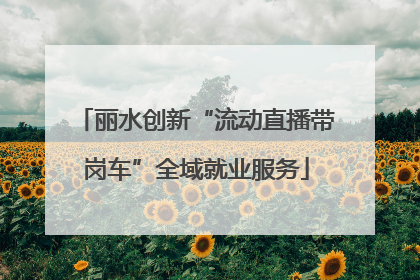 丽水创新“流动直播带岗车”全域就业服务