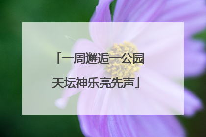 一周邂逅一公园 天坛神乐亮先声