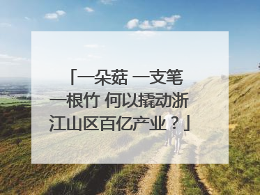 一朵菇 一支笔 一根竹 何以撬动浙江山区百亿产业？