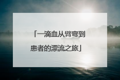 一滴血从臂弯到患者的漂流之旅