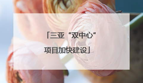 三亚“双中心”项目加快建设