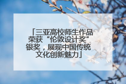 三亚高校师生作品荣获“伦敦设计奖”银奖，展现中国传统文化创新魅力