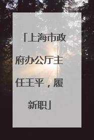 上海市政府办公厅主任王平，履新职