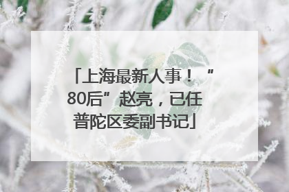 上海最新人事！“80后”赵亮，已任普陀区委副书记