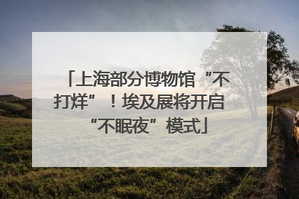 上海部分博物馆“不打烊”！埃及展将开启“不眠夜”模式