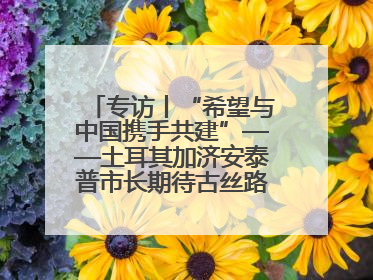专访丨“希望与中国携手共建”——土耳其加济安泰普市长期待古丝路重镇焕发新活力