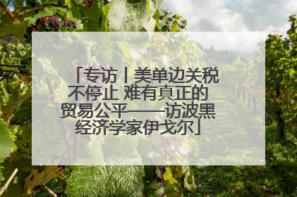 专访丨美单边关税不停止 难有真正的贸易公平——访波黑经济学家伊戈尔