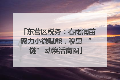 东营区税务：春雨润苗聚力小微赋能，税惠 “链” 动焕活商圈