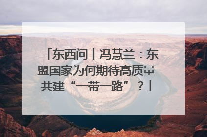 东西问丨冯慧兰：东盟国家为何期待高质量共建“一带一路”？