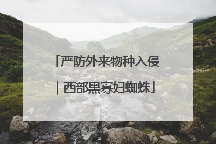 严防外来物种入侵｜西部黑寡妇蜘蛛