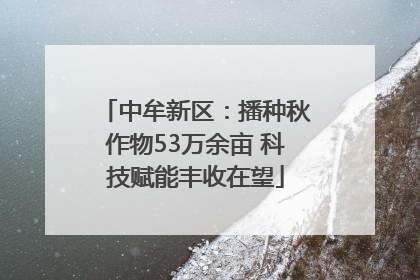 中牟新区：播种秋作物53万余亩 科技赋能丰收在望