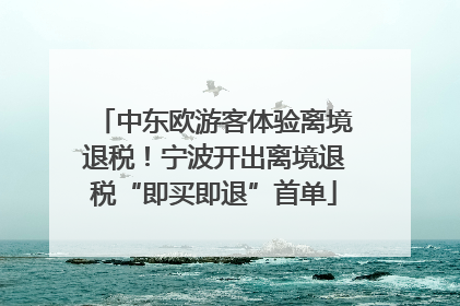 中东欧游客体验离境退税！宁波开出离境退税“即买即退”首单