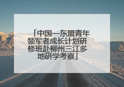 中国—东盟青年领军者成长计划研修班赴柳州三江多地研学考察