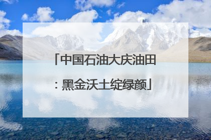 中国石油大庆油田：黑金沃土绽绿颜