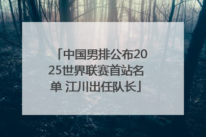 中国男排公布2025世界联赛首站名单 江川出任队长