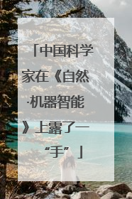 中国科学家在《自然·机器智能》上露了一“手”