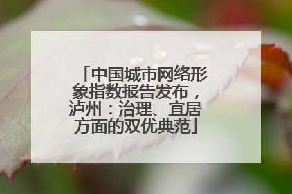 中国城市网络形象指数报告发布，泸州：治理、宜居方面的双优典范