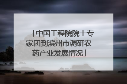 中国工程院院士专家团到滨州市调研农药产业发展情况