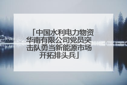 中国水利电力物资华南有限公司党员突击队勇当新能源市场开拓排头兵