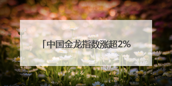 中国金龙指数涨超2%，金山云涨近10%！特斯拉涨超4%，市值大涨3100亿元！比特币涨回11万美元关口