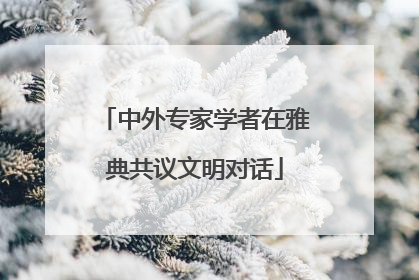中外专家学者在雅典共议文明对话