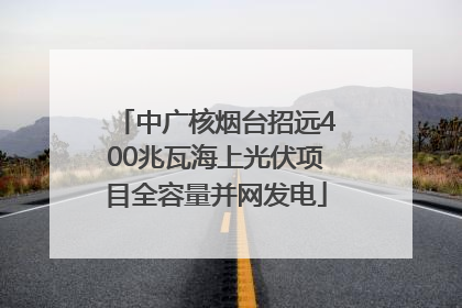 中广核烟台招远400兆瓦海上光伏项目全容量并网发电