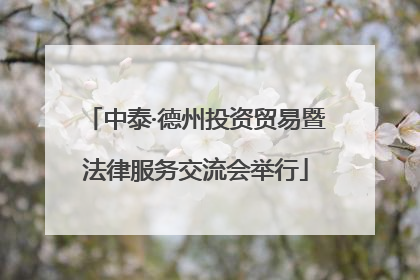 中泰·德州投资贸易暨法律服务交流会举行